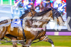 2025_PACEPIX_GP10102025_RACE4_Minstrel_WIN_WEB-2