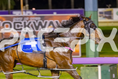 2025_PACEPIX_GP10102025_RACE4_Minstrel_WIN_WEB-6