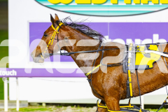 2026_PACEPIX_GP26052026_RACE4_MyHamerDown_WIN_WEB-13