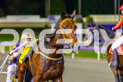 2026_PACEPIX_GP26052026_RACE4_MyHamerDown_WIN_WEB-14