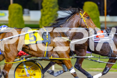 2026_PACEPIX_GP26052026_RACE4_MyHamerDown_WIN_WEB-3