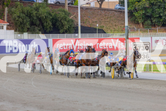 RACE 4 - My Watchlist
