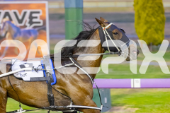 2025_PACEPIX_GP16012026_Race4_NathanStreet_WIN_WEB-5