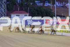 2025_PACEPIX_GP16012026_Race4_NathanStreet_WIN_WEB-6