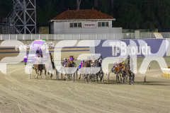 2025_PACEPIX_GP16092025_Race4_OpalHunter_WIN_WEB-1