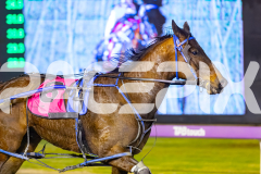 2025_PACEPIX_GP16092025_Race4_OpalHunter_WIN_WEB-15
