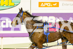 2025_PACEPIX_GP16092025_Race4_OpalHunter_WIN_WEB-17
