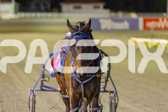 2025_PACEPIX_GP16092025_Race4_OpalHunter_WIN_WEB-18