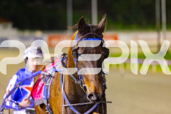 2025_PACEPIX_GP16092025_Race4_OpalHunter_WIN_WEB-20