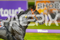 2025_PACEPIX_GP09052025_RACE4_PennyBlack_WIN_WEB-21