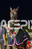 2025_PACEPIX_GP09052025_RACE4_PennyBlack_WIN_WEB-28