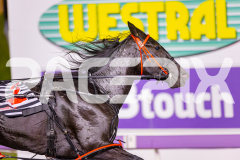 2025_PACEPIX_GP09052025_RACE4_PennyBlack_WIN_WEB-7