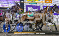 RACE 4 - Priddah