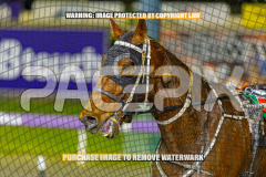2026_Pacepix_GP18082026_Race4_Priddah_WIN_WEB-18