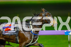 2026_PACEPIX_GP07072026_Race4_PrinceOfTribeca_WIN_WEB-11