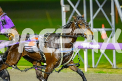 2026_PACEPIX_GP07072026_Race4_PrinceOfTribeca_WIN_WEB-5