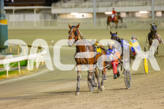 2025_PACEPIX_GP16052025_Race4_Quinton_WIN_WEB-10