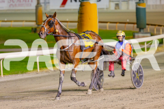 2025_PACEPIX_GP16052025_Race4_Quinton_WIN_WEB-11
