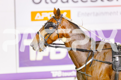 2025_PACEPIX_GP16052025_Race4_Quinton_WIN_WEB-13