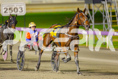 2025_PACEPIX_GP16052025_Race4_Quinton_WIN_WEB-8