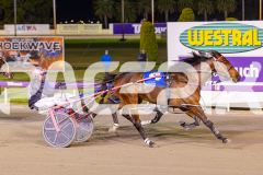 RACE 4 - Rock Artist