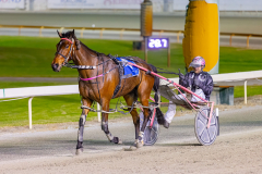 2025_PACEPIX_GP03102025_RACE4_RockArtist_WIN_WEB-11