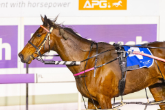 2025_PACEPIX_GP03102025_RACE4_RockArtist_WIN_WEB-12