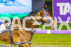 2025_PACEPIX_GP29082025_RACE4_Rockandrollartist_WIN_WEB-12