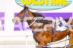 2025_PACEPIX_GP29082025_RACE4_Rockandrollartist_WIN_WEB-16