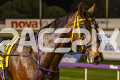 2025_PACEPIX_GP27062025_RACE4_ROLLING-FIRE_WIN_WEB-12