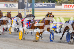 2025_PACEPIX_GP12122025_RACE4_RollingFire_WIN_WEB-16