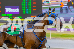 2025_PACEPIX_GP12122025_RACE4_RollingFire_WIN_WEB-2