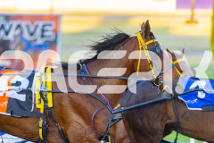 2025_PACEPIX_GP12122025_RACE4_RollingFire_WIN_WEB-29