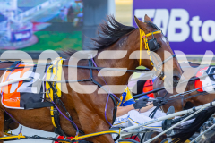 2025_PACEPIX_GP12122025_RACE4_RollingFire_WIN_WEB-4
