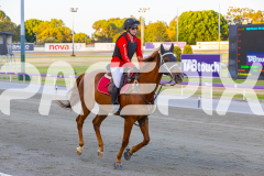 2025_PACEPIX_GP12122025_RACE4_RollingFire_WIN_WEB-5
