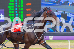 2025_PACEPIX_GP12122025_RACE4_RollingFire_WIN_WEB-7