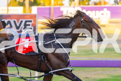 2025_PACEPIX_GP12122025_RACE4_RollingFire_WIN_WEB-8