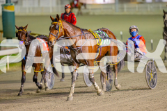 2025_PACEPIX_GP13062025_RACE4_RollingFire_WIN_WEB-17