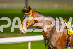 2025_PACEPIX_GP13062025_RACE4_RollingFire_WIN_WEB-18