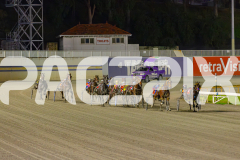 2025_PACEPIX_GP13062025_RACE4_RollingFire_WIN_WEB-6