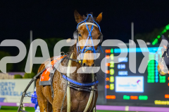 2026_PACEPIX_GP23062026_Race4_SalsaWithSierra_WIN_WEB-12