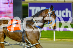 2026_PACEPIX_GP23062026_Race4_SalsaWithSierra_WIN_WEB-8