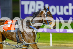 2026_PACEPIX_GP02062026_RACE4_Salsawithsierra_WIN_WEB-18