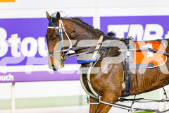 2026_PACEPIX_GP02062026_RACE4_Salsawithsierra_WIN_WEB-21