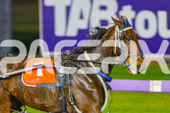 2026_PACEPIX_GP02062026_RACE4_Salsawithsierra_WIN_WEB-4