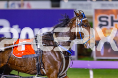 2026_PACEPIX_GP02062026_RACE4_Salsawithsierra_WIN_WEB-8