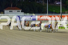 2026_PACEPIX_GP02062026_RACE4_Salsawithsierra_WIN_WEB-9