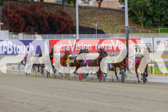 2025_PACEPIX_GP28102025_Race4_Siangdi_WIN_WEB-1
