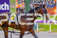 2025_PACEPIX_GP28102025_Race4_Siangdi_WIN_WEB-12