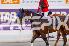 2025_PACEPIX_GP28102025_Race4_Siangdi_WIN_WEB-14